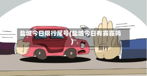 盐城今日限行尾号(盐城今日有雾霾吗)-第2张图片