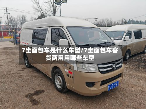 7坐面包车是什么车型/7坐面包车客货两用用哪些车型-第3张图片
