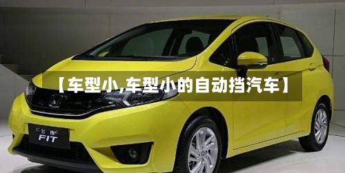 【车型小,车型小的自动挡汽车】-第2张图片