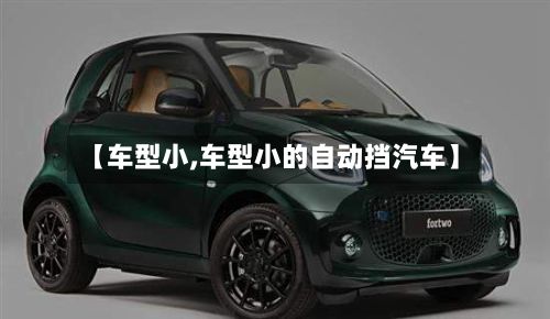 【车型小,车型小的自动挡汽车】