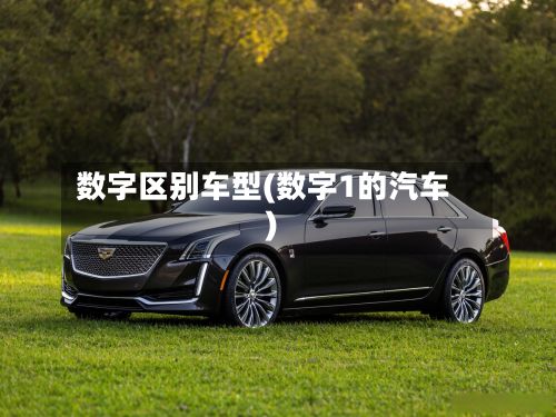 数字区别车型(数字1的汽车)