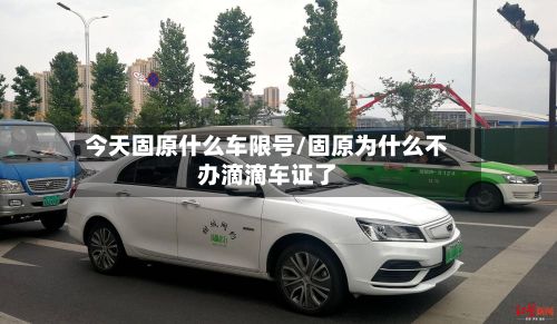 今天固原什么车限号/固原为什么不办滴滴车证了-第3张图片