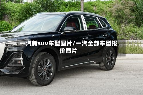 一汽新suv车型图片/一汽全部车型报价图片-第2张图片