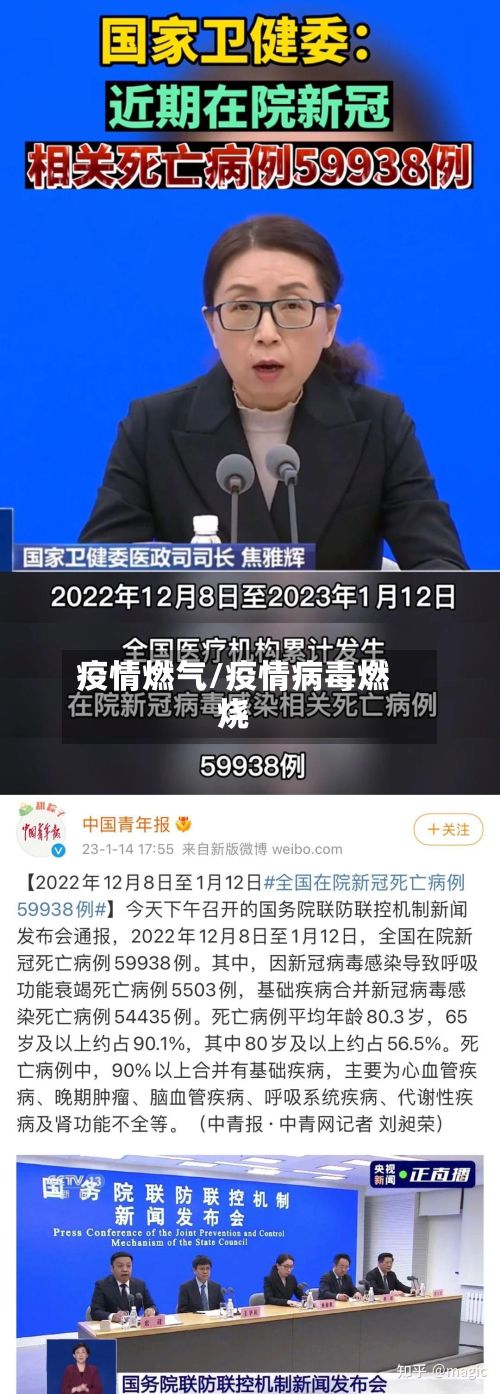 疫情燃气/疫情病毒燃烧-第3张图片