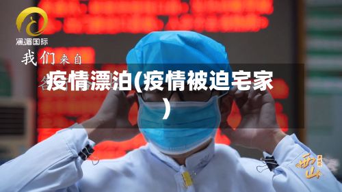 疫情漂泊(疫情被迫宅家)-第2张图片