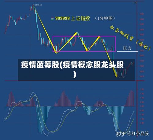 疫情蓝筹股(疫情概念股龙头股)-第2张图片