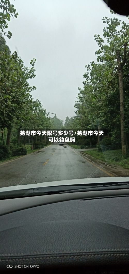 芜湖市今天限号多少号/芜湖市今天可以钓鱼吗-第2张图片