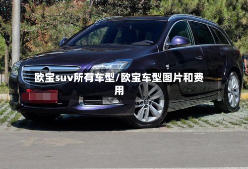 欧宝suv所有车型/欧宝车型图片和费用