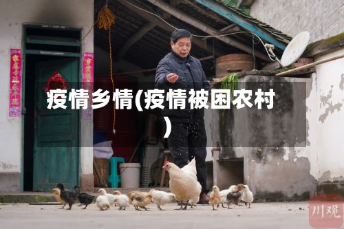 疫情乡情(疫情被困农村)