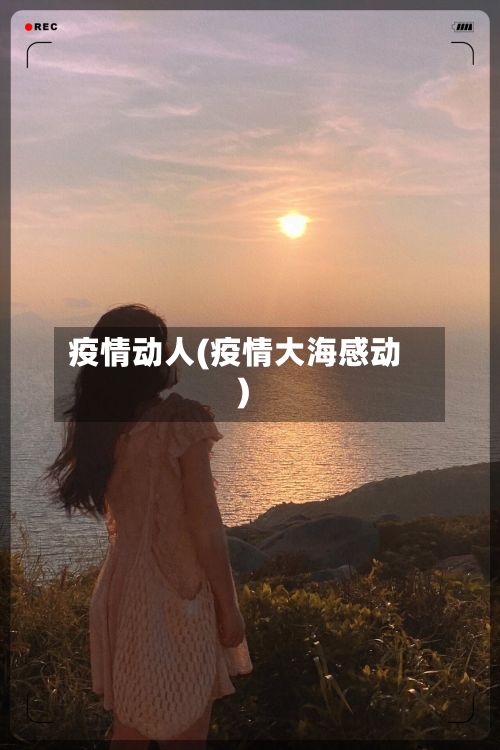 疫情动人(疫情大海感动)-第2张图片