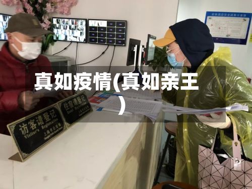 真如疫情(真如亲王)