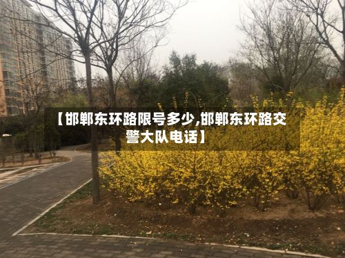 【邯郸东环路限号多少,邯郸东环路交警大队电话】-第2张图片
