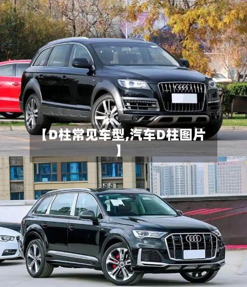 【D柱常见车型,汽车D柱图片】-第2张图片