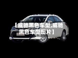 【威驰黑色车型,威驰黑色车型图片】