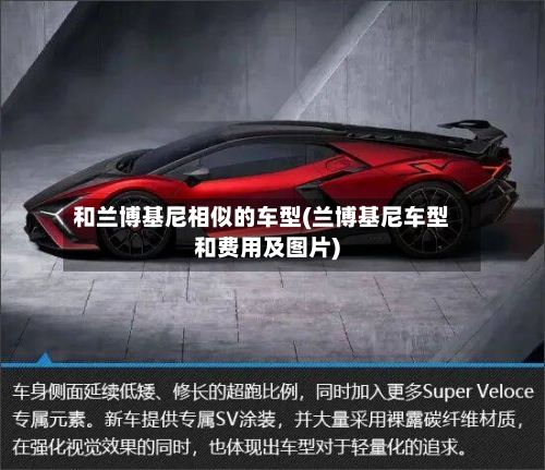 和兰博基尼相似的车型(兰博基尼车型和费用及图片)