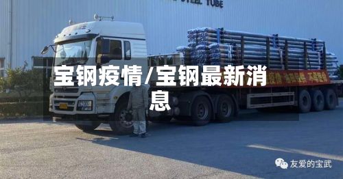 宝钢疫情/宝钢最新消息-第2张图片