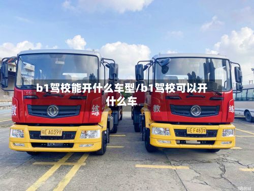 b1驾校能开什么车型/b1驾校可以开什么车-第3张图片