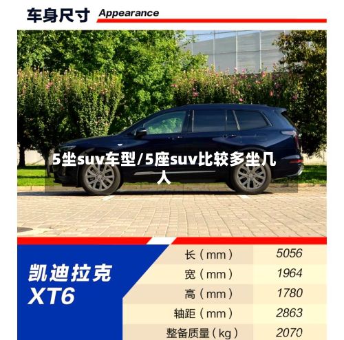 5坐suv车型/5座suv比较多坐几人