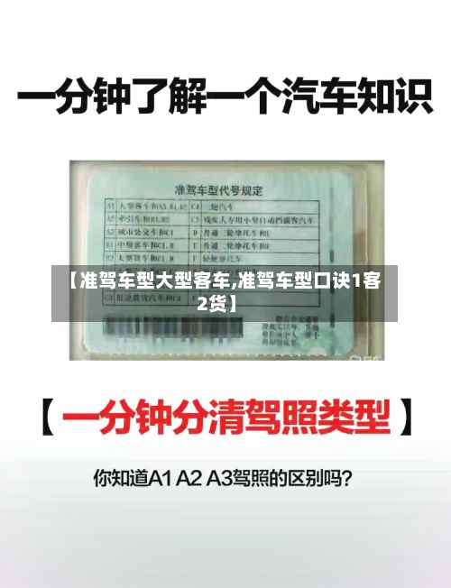 【准驾车型大型客车,准驾车型口诀1客2货】-第2张图片