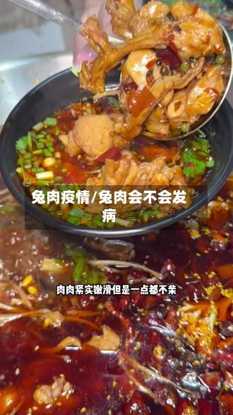 兔肉疫情/兔肉会不会发病