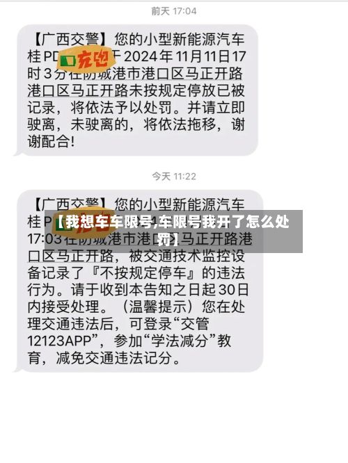 【我想车车限号,车限号我开了怎么处罚】-第2张图片