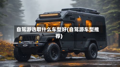 自驾游选取什么车型好(自驾游车型推荐)-第2张图片