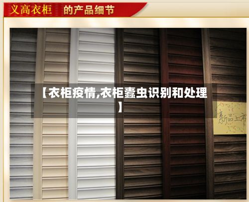 【衣柜疫情,衣柜蠹虫识别和处理】