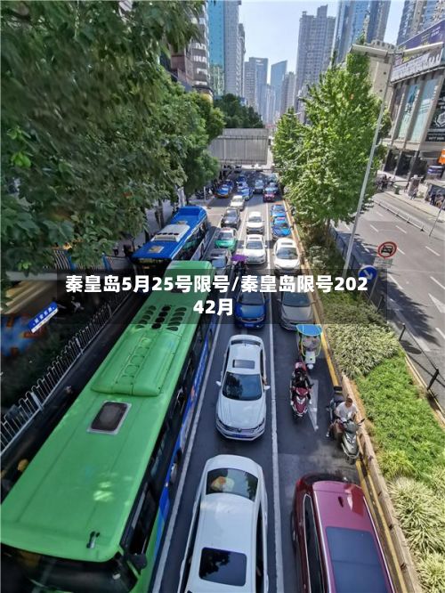 秦皇岛5月25号限号/秦皇岛限号20242月