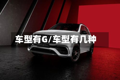 车型有G/车型有几种