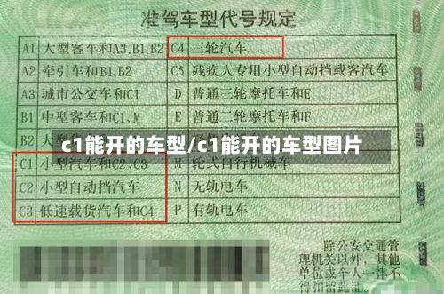 c1能开的车型/c1能开的车型图片