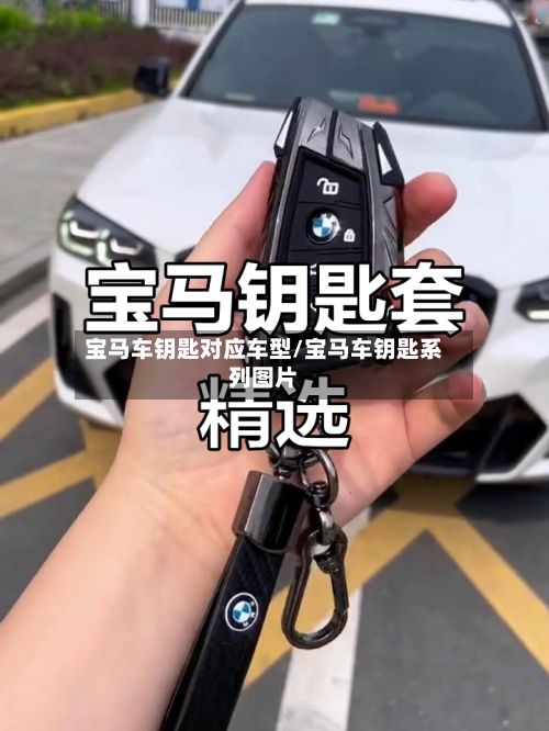 宝马车钥匙对应车型/宝马车钥匙系列图片-第2张图片
