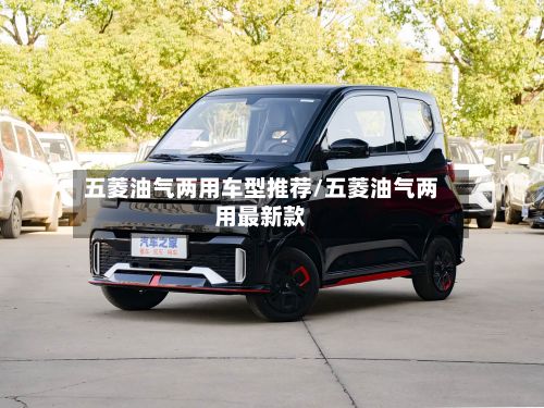 五菱油气两用车型推荐/五菱油气两用最新款-第2张图片